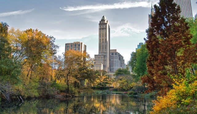 Konzerte in New York