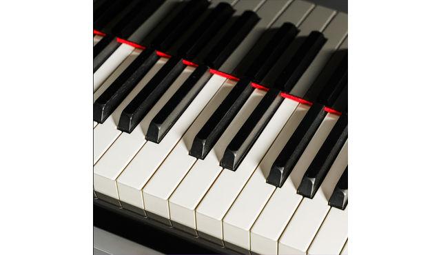 Il carnevale degli animali (duo pianistico) a lume di candela alla St Mary le Strand