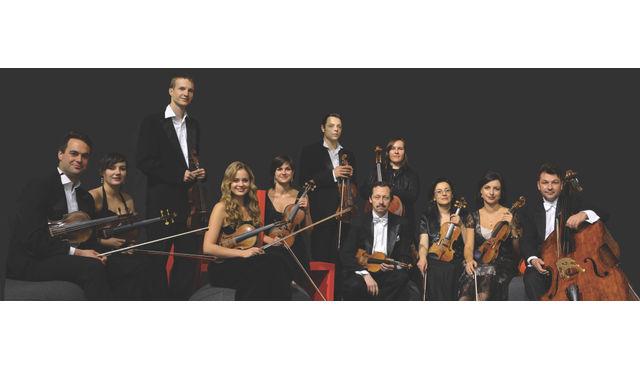 Dinner & Konzert im Französischen Dom: Das Festival Orchester Berlin spielt Vivaldis Vier Jahreszeiten