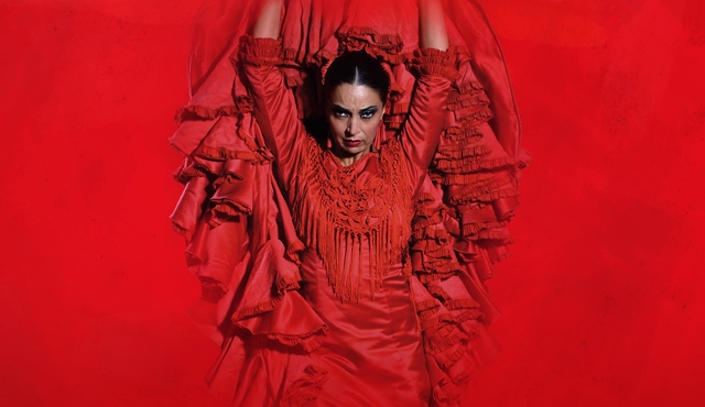 Sensações: Teatro Flamenco Granada
